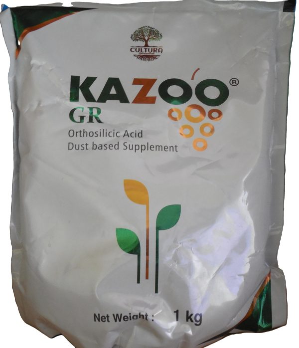 Kazoo-GR-Orthosilicic-Acid-1-kg dust based supplement