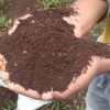 Shamba-Mtaani-Compost