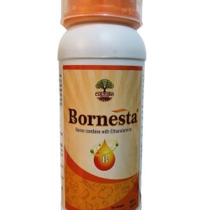 A bottle of Bornesta. boron + ethanolamine 500 ml