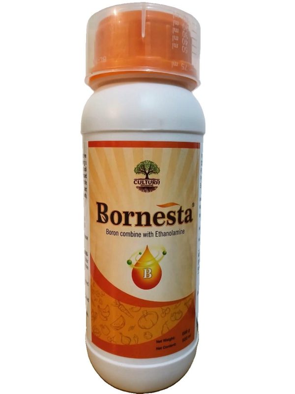 A bottle of Bornesta. boron + ethanolamine 500 ml