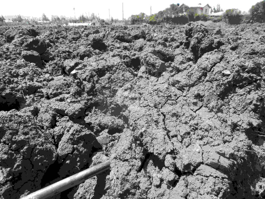 Black cotton soil subsoil profile