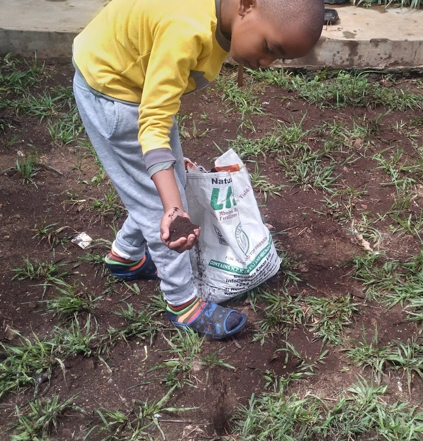 Crop residues and organic farm waste