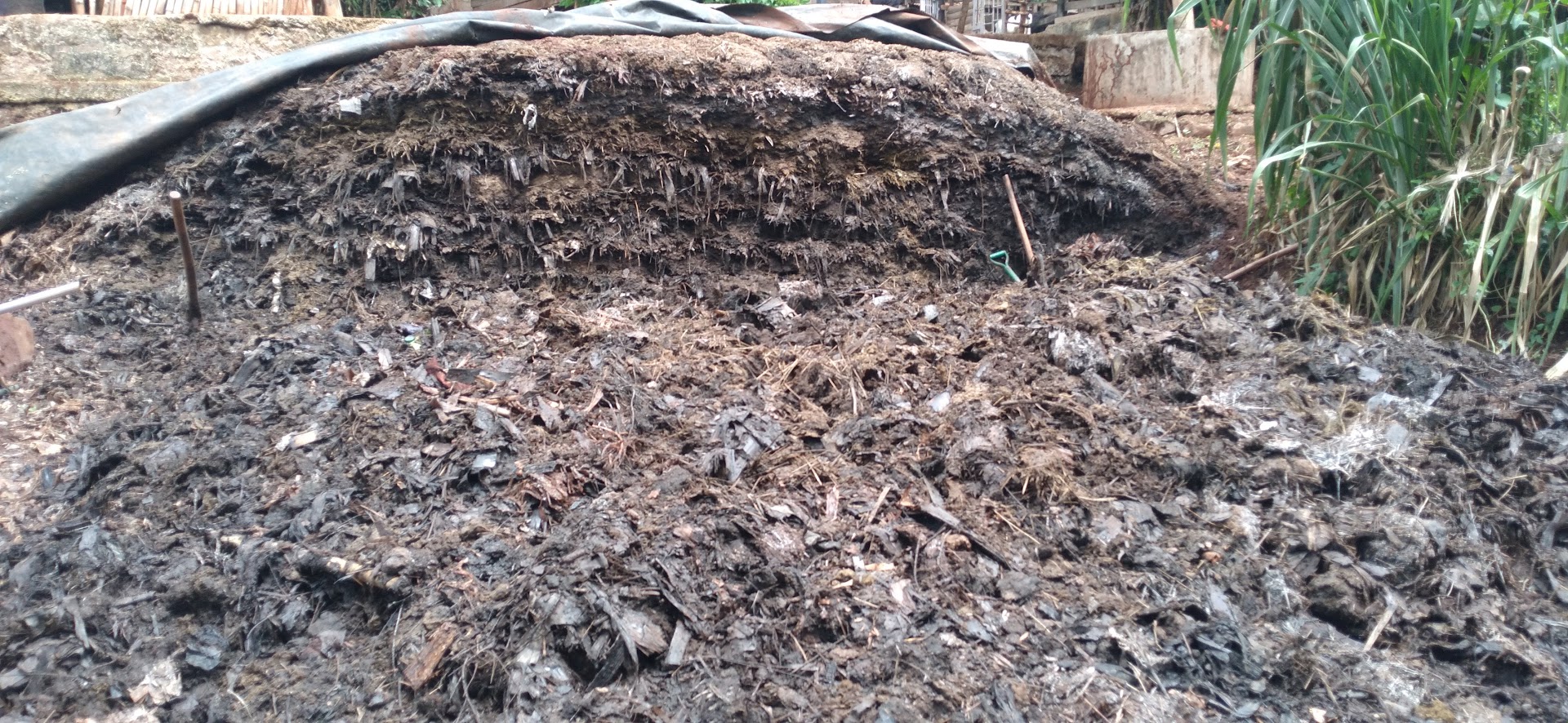 Crop residues and organic farm waste