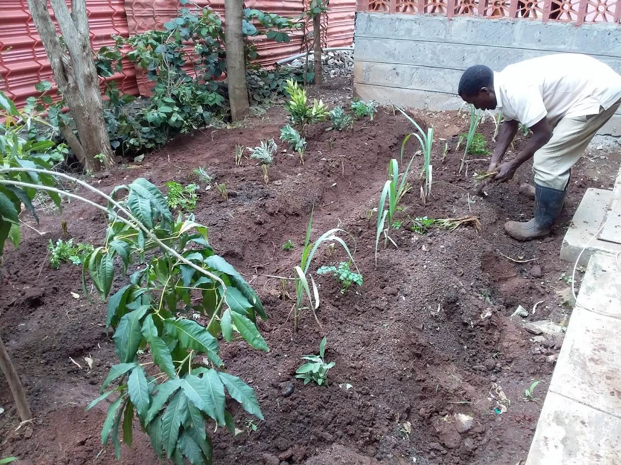 incorporating dark compost into soil