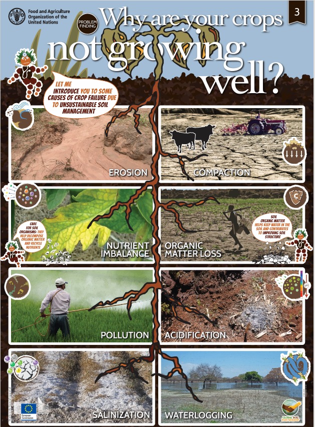 causes of crop failure due to unsustainable soil management